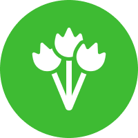 Expert Floral Video Guidance